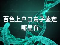 百色上户口亲子鉴定哪里有