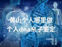 黄山个人哪里做个人dna亲子鉴定