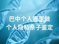 巴中个人哪里做个人隐私亲子鉴定