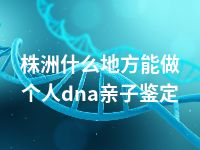 株洲什么地方能做个人dna亲子鉴定