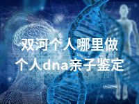 双河个人哪里做个人dna亲子鉴定