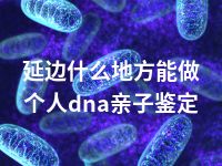 延边什么地方能做个人dna亲子鉴定