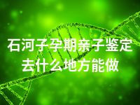 石河子孕期亲子鉴定去什么地方能做