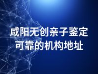 咸阳无创亲子鉴定可靠的机构地址