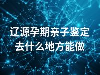 辽源孕期亲子鉴定去什么地方能做