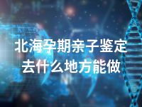 北海孕期亲子鉴定去什么地方能做