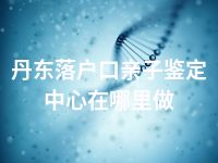 丹东落户口亲子鉴定中心在哪里做