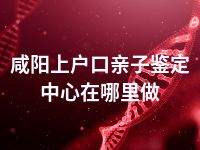 咸阳上户口亲子鉴定中心在哪里做