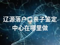 辽源落户口亲子鉴定中心在哪里做