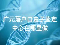 广元落户口亲子鉴定中心在哪里做