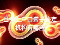 巴中上户口亲子鉴定机构有哪些