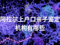 阿拉尔上户口亲子鉴定机构有哪些