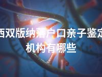 西双版纳落户口亲子鉴定机构有哪些