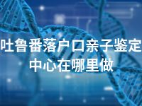 吐鲁番落户口亲子鉴定中心在哪里做