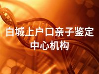 白城上户口亲子鉴定中心机构