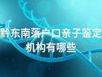 黔东南落户口亲子鉴定机构有哪些