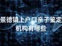 景德镇上户口亲子鉴定机构有哪些