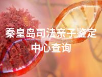 秦皇岛司法亲子鉴定中心查询