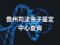 儋州司法亲子鉴定中心查询