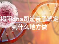 揭阳dna司法亲子鉴定到什么地方做