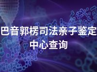 巴音郭楞司法亲子鉴定中心查询