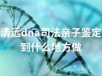 清远dna司法亲子鉴定到什么地方做