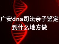 广安dna司法亲子鉴定到什么地方做