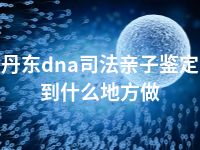 丹东dna司法亲子鉴定到什么地方做