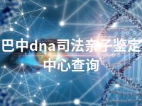 巴中dna司法亲子鉴定中心查询