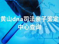 黄山dna司法亲子鉴定中心查询
