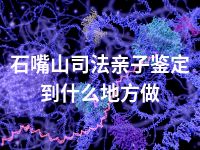 石嘴山司法亲子鉴定到什么地方做