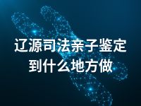 辽源司法亲子鉴定到什么地方做