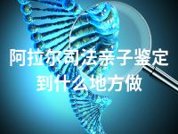 阿拉尔司法亲子鉴定到什么地方做