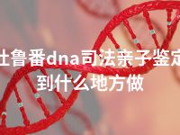 吐鲁番dna司法亲子鉴定到什么地方做