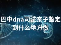巴中dna司法亲子鉴定到什么地方做