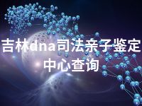 吉林dna司法亲子鉴定中心查询