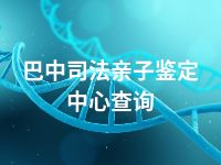 巴中司法亲子鉴定中心查询