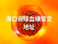 海口亲缘血缘鉴定地址