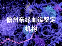 儋州亲缘血缘鉴定机构