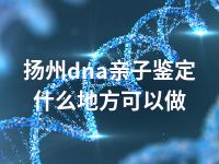 扬州dna亲子鉴定什么地方可以做