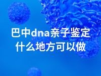 巴中dna亲子鉴定什么地方可以做
