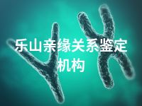 乐山亲缘关系鉴定机构