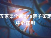 五家渠个人dna亲子鉴定中心在哪
