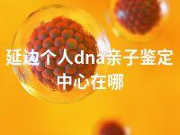 延边个人dna亲子鉴定中心在哪