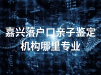 嘉兴落户口亲子鉴定机构哪里专业