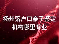 扬州落户口亲子鉴定机构哪里专业