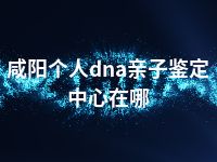 咸阳个人dna亲子鉴定中心在哪