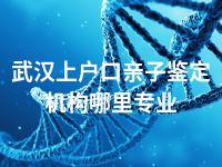 武汉上户口亲子鉴定机构哪里专业