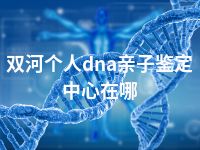 双河个人dna亲子鉴定中心在哪