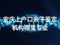 安庆上户口亲子鉴定机构哪里专业